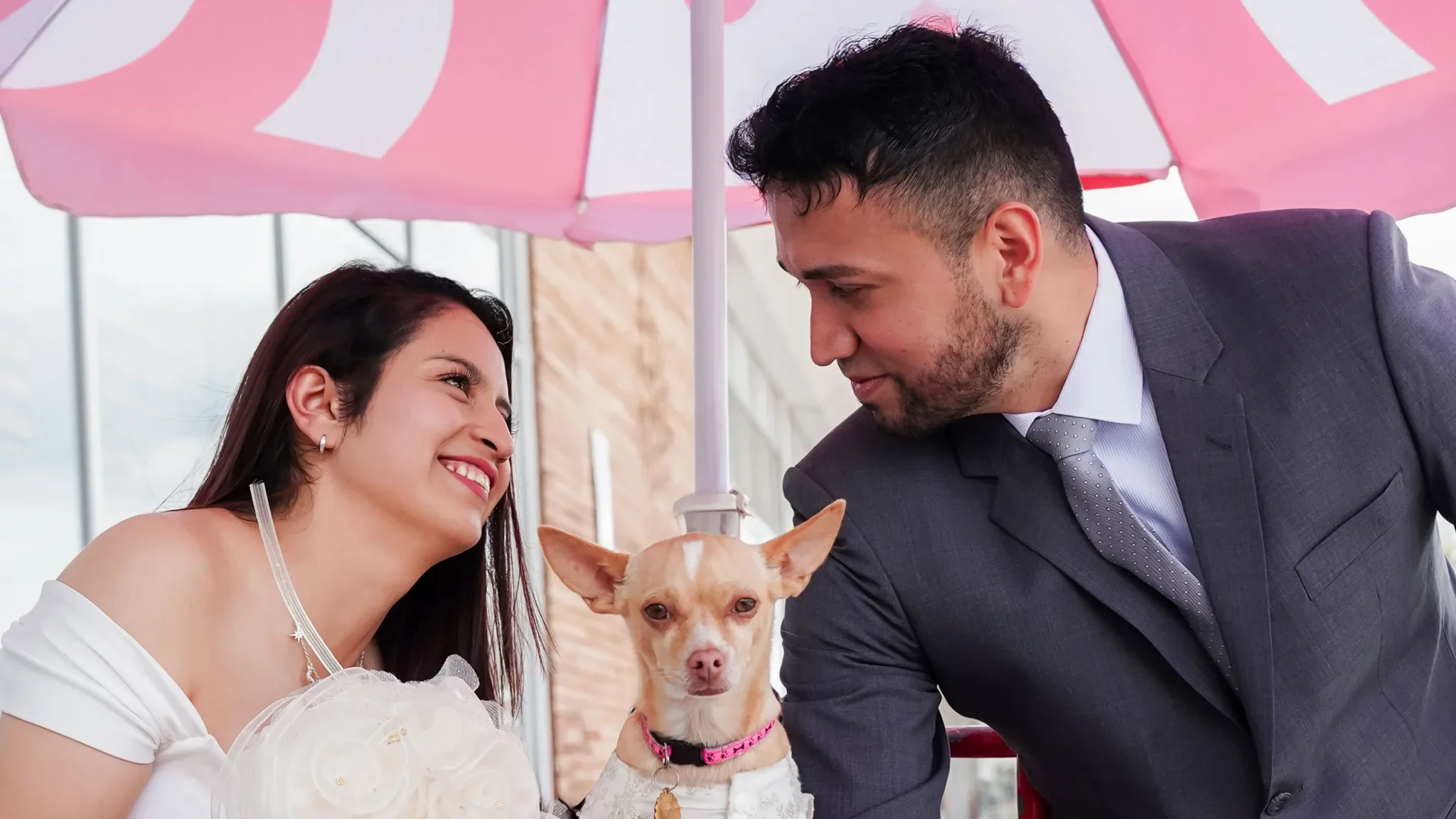 boda civil mafer y cristhian6